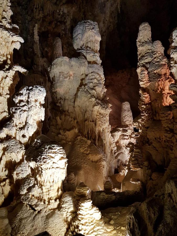Residence Via Benamati Cagli Dış mekan fotoğraf